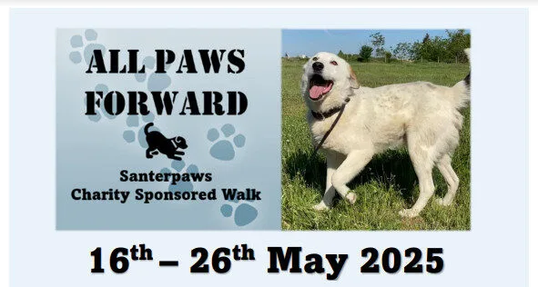 All Paws Forward Sponsored Walk 2025